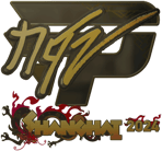 Sticker | NQZ (Gold) | Shanghai 2024 image