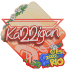 Sticker | karrigan | Rio 2022 image