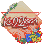 Sticker | karrigan | Rio 2022