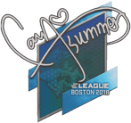 Sticker | Summer | Boston 2018 image