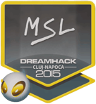 Sticker | MSL | Cluj-Napoca 2015