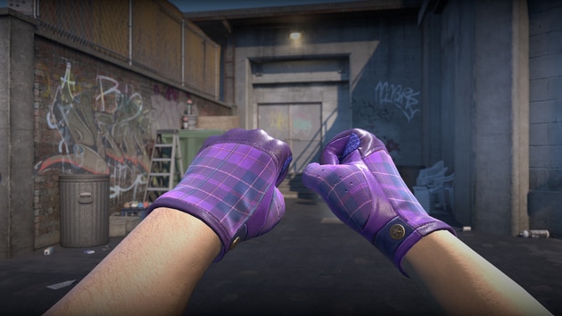 Preview image 3 of ★ Driver Gloves | Imperial Plaid  (Factory New)