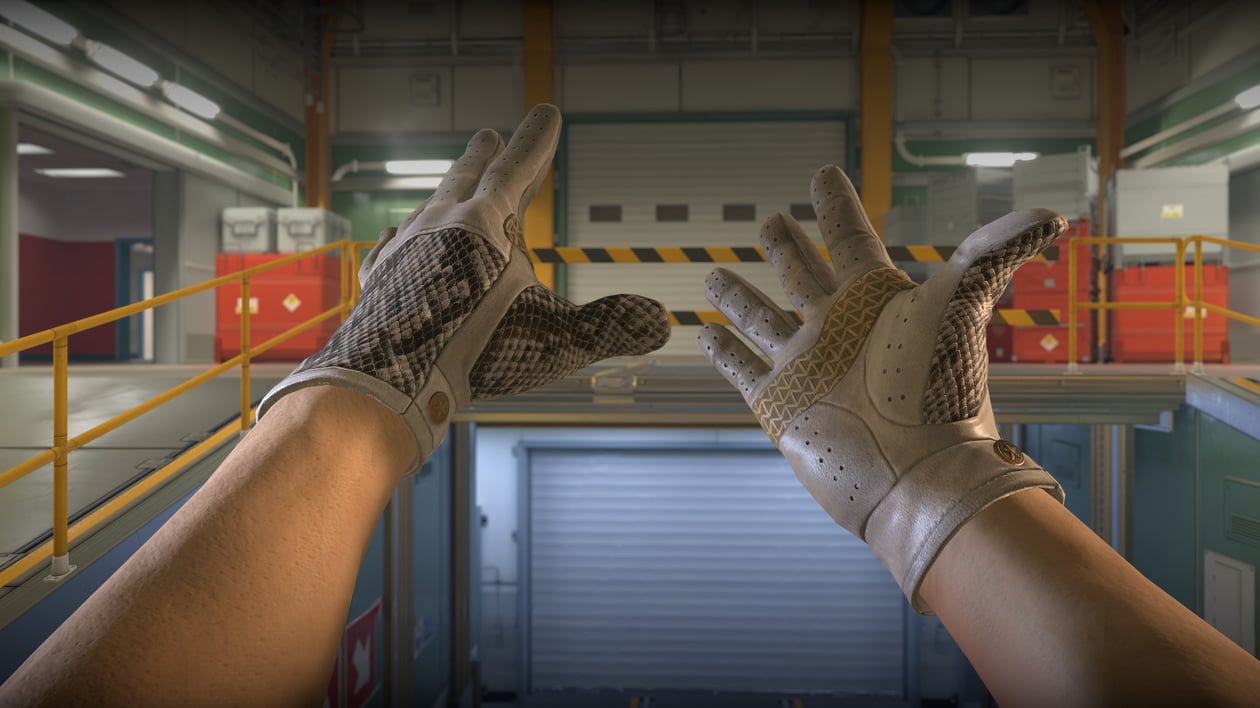 Preview image 4 of ★ Driver Gloves | King Snake (Factory New)