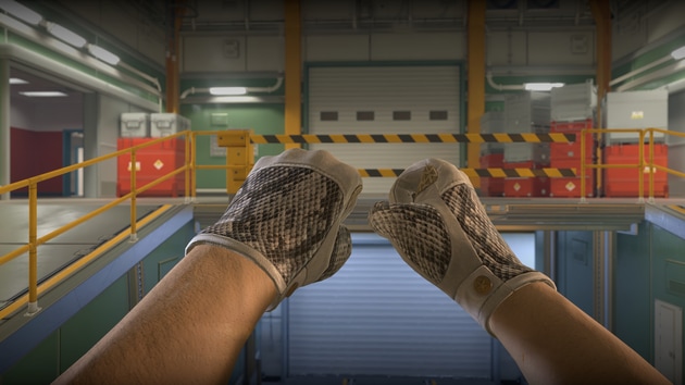 Preview image 5 of ★ Driver Gloves | King Snake (Factory New)