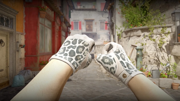 Preview image 5 of ★ Driver Gloves | Snow Leopard (Factory New)