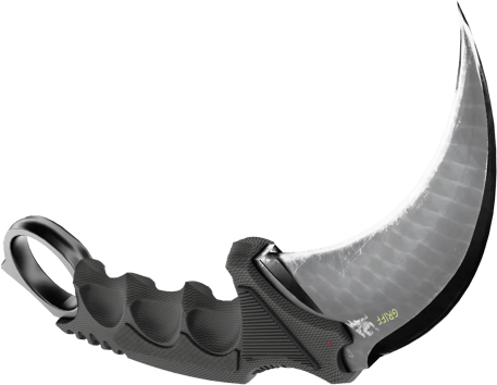 Preview image 5 of ★ StatTrak™ Karambit | Vanilla