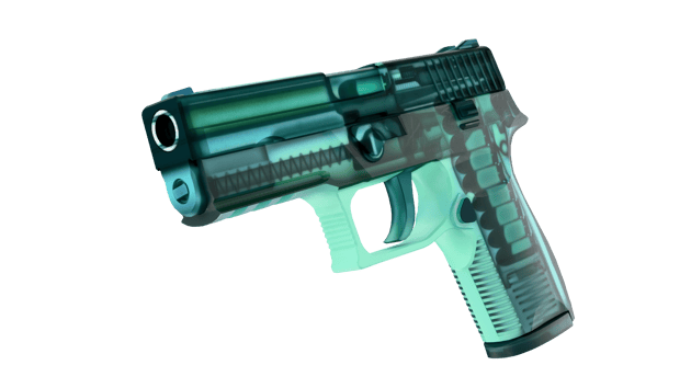 Preview image 2 of P250 | X-Ray (막 출고된)