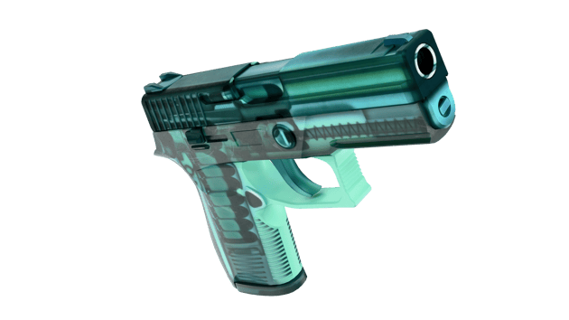 Preview image 5 of P250 | X-Ray (막 출고된)