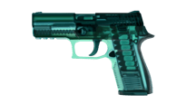 P250 | X-Ray image