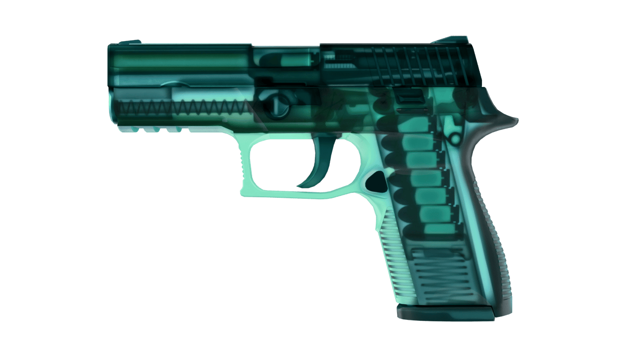 Preview image 1 of P250 | X-Ray (막 출고된)