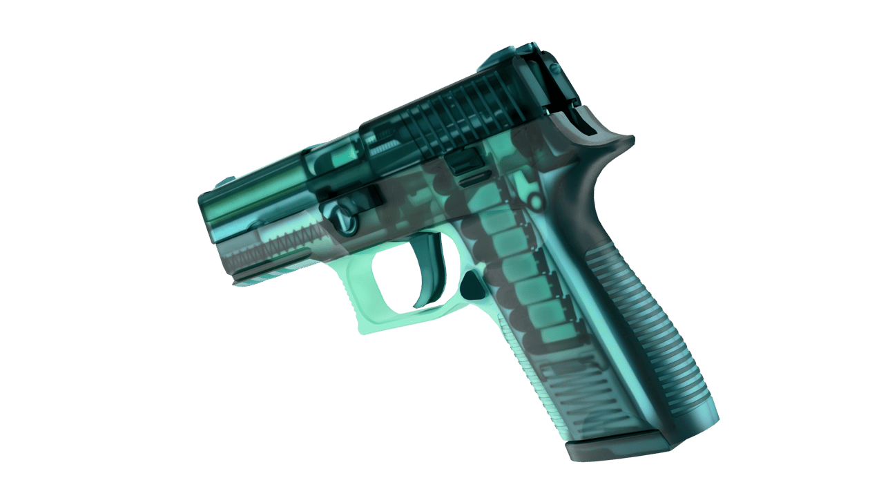 Preview image 3 of P250 | X-Ray (막 출고된)